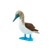 BlueFootedBooby