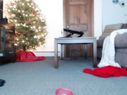 Deafangel Cam